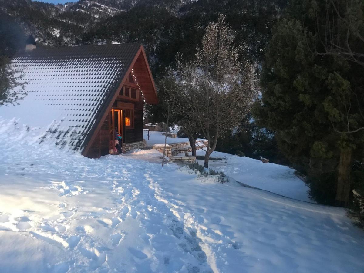 Chalet In The Forest Kalavryta Exteriör bild