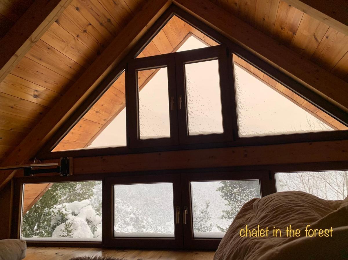Chalet In The Forest Kalavryta Exteriör bild