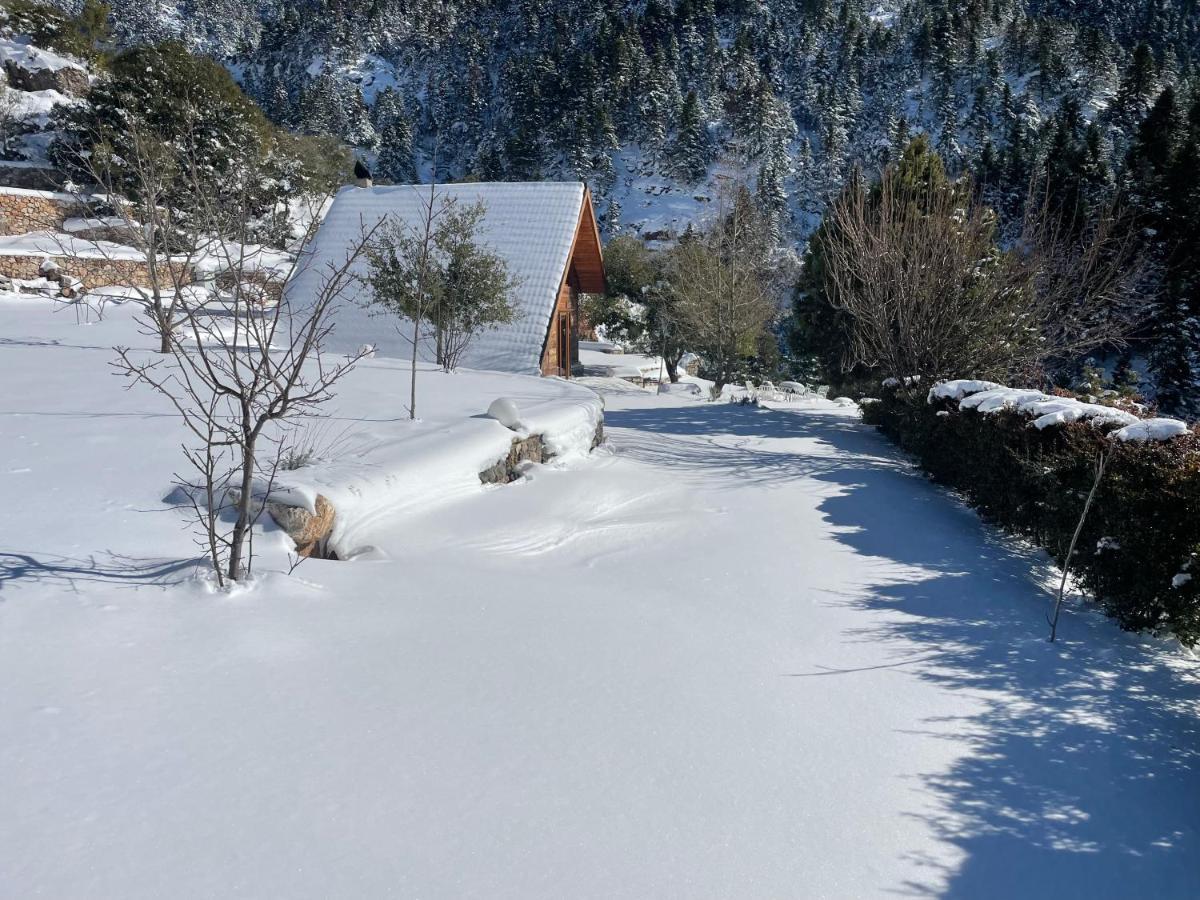 Chalet In The Forest Kalavryta Exteriör bild