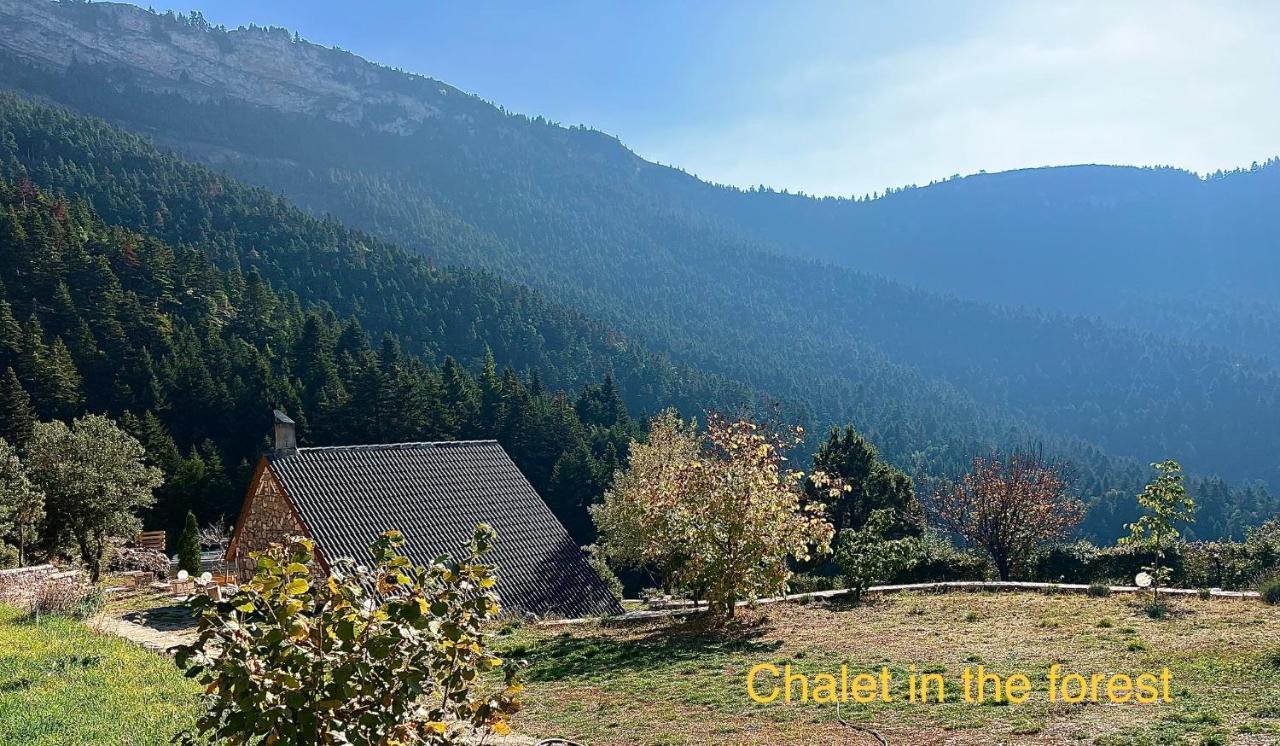 Chalet In The Forest Kalavryta Exteriör bild