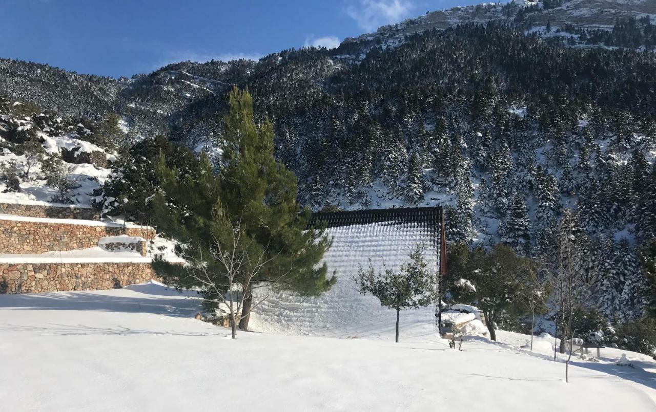 Chalet In The Forest Kalavryta Exteriör bild