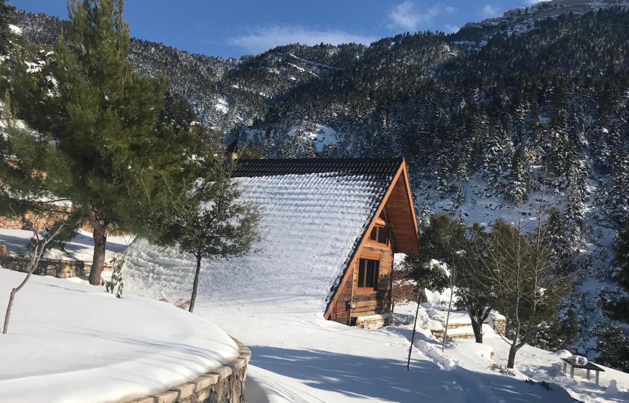 Chalet In The Forest Kalavryta Exteriör bild