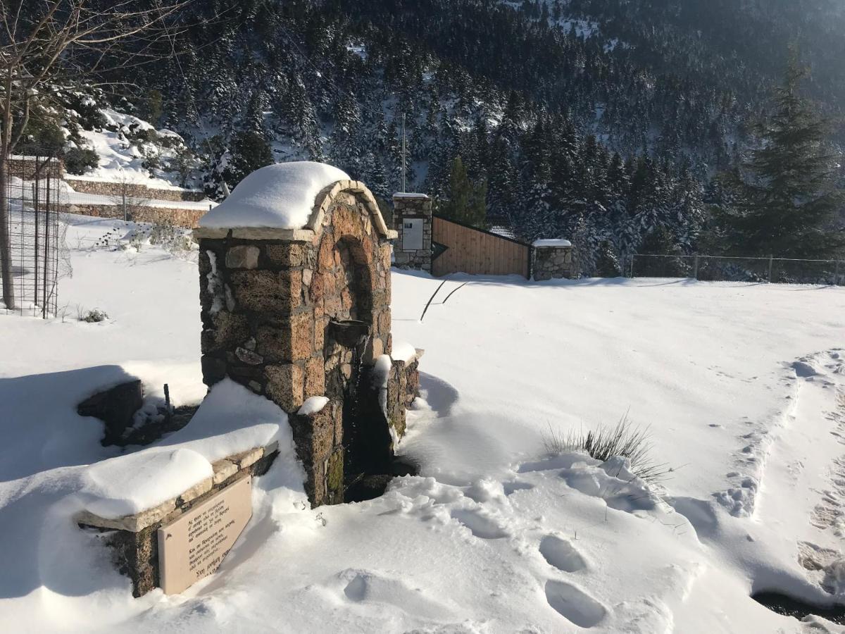Chalet In The Forest Kalavryta Exteriör bild