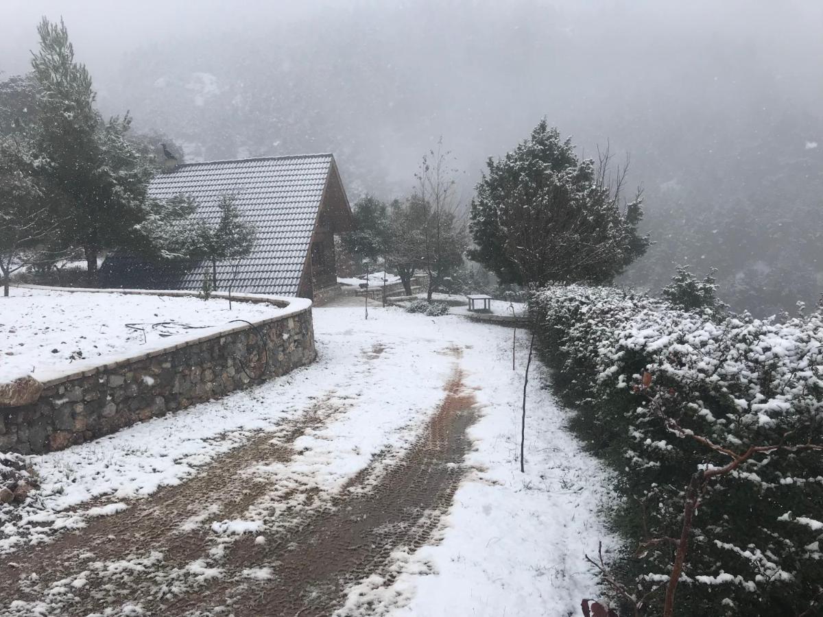 Chalet In The Forest Kalavryta Exteriör bild